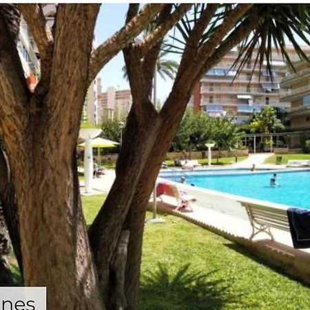 Apartamento Entero En La Playa San Juan Benacantil Alicante Dış mekan fotoğraf